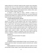 Atestat Calitatea produselor la firma “S C  Argos S A ” Cluj Napoca - imaginea19