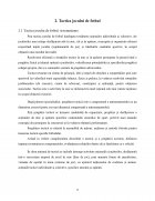 Atestat Tactica sportivă - imaginea9