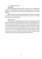 Atestat Subsistemul audio - imaginea12