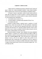 Atestat Smogul fotochimic - imaginea24