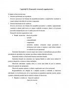 Atestat Tipuri de organigrame - imaginea9