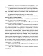 Atestat Dimensiunile pietei - imaginea27