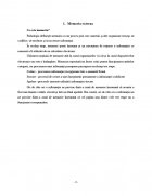 Atestat Memoria externa - imaginea3