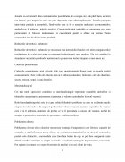 Atestat Politica de promovare Oriflame - imaginea6
