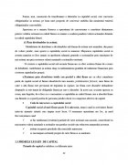 Atestat Analiza surselor proprii de finantare - imaginea11