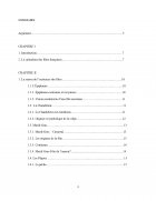 Atestat Les coutumes et les traditions françaises - imaginea3