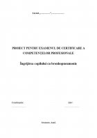 Atestat Ingrijirea copilului cu bronhopneumonie - imaginea1