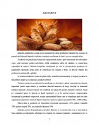Atestat Tehnologia de obtinere a painii - imaginea3
