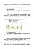 Atestat Pregatirea tehnico tactica a jocului de handbal - imaginea20