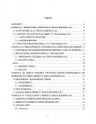 Atestat Marca in strategii de vanzare a intreprinderii - imaginea2