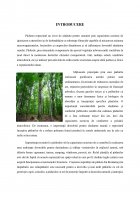 Atestat Evaluarea exemplarelor de molid Picea Abies și fag Fagus Sylvatica din cadrul Ocolului Silvic Tihuța Colibița - imaginea4