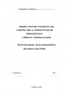 Atestat Resursele umane factor primordial in dezvoltarea unei firme - imaginea1