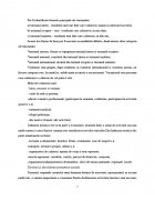 Atestat Agentia de turism Sirius - imaginea6