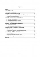 Atestat Imprimarea materialelor din fibre celulozice prin transfer termic cu coloranti pigmenti - imaginea2