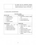 Atestat Analiza concurentilor firmei S.C. MACROMEX S.R.L - imaginea11