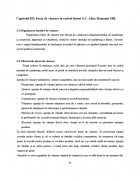 Atestat Forta de vanzare in cadrul firmei  S.C  Altex Romania S.R.L - imaginea38