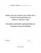 Atestat Determinarea indicatorilor organoleptici fizici si ai clorului de la reteaua de distributie - imaginea1
