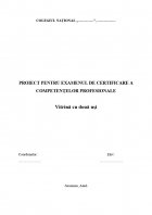 Atestat Vitrina cu doua usi - imaginea1