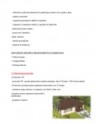 Atestat Studiul pietei - Firma de exercitiu SRL - imaginea10