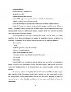 Atestat Tipuri de coafuri - imaginea10