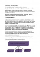 Atestat Tehnologia de obtinere a conservelor de legume congelate - imaginea7