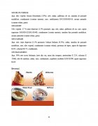 Atestat Analiza SWOT  McDonald s - imaginea22