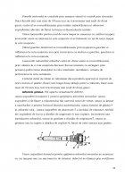 Atestat Cutia de viteze - imaginea24