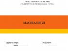 Atestat Machiaj de zi - imaginea25