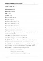 Atestat Ingrijirea bolnavului cu gastrită - imaginea71