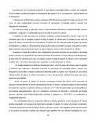 Atestat Intocmirea unui act de punere in valoare la produsele principale - imaginea31