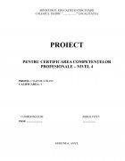 Atestat Aplicarea unghiilor cu gel folosind șablonul - imaginea1